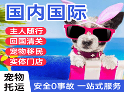 固原六盘山机场托运国际宠物托运 【国